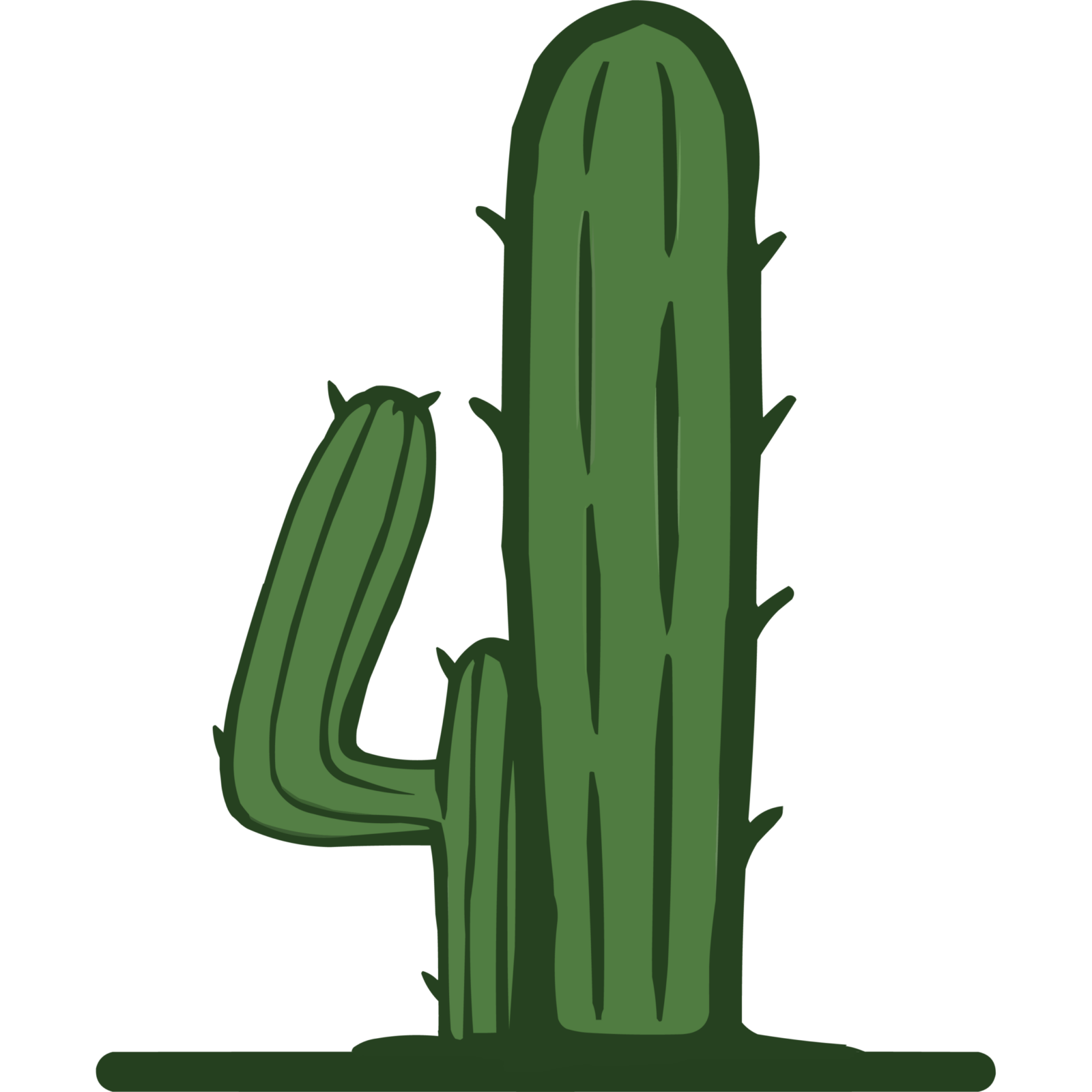 CACTUS41